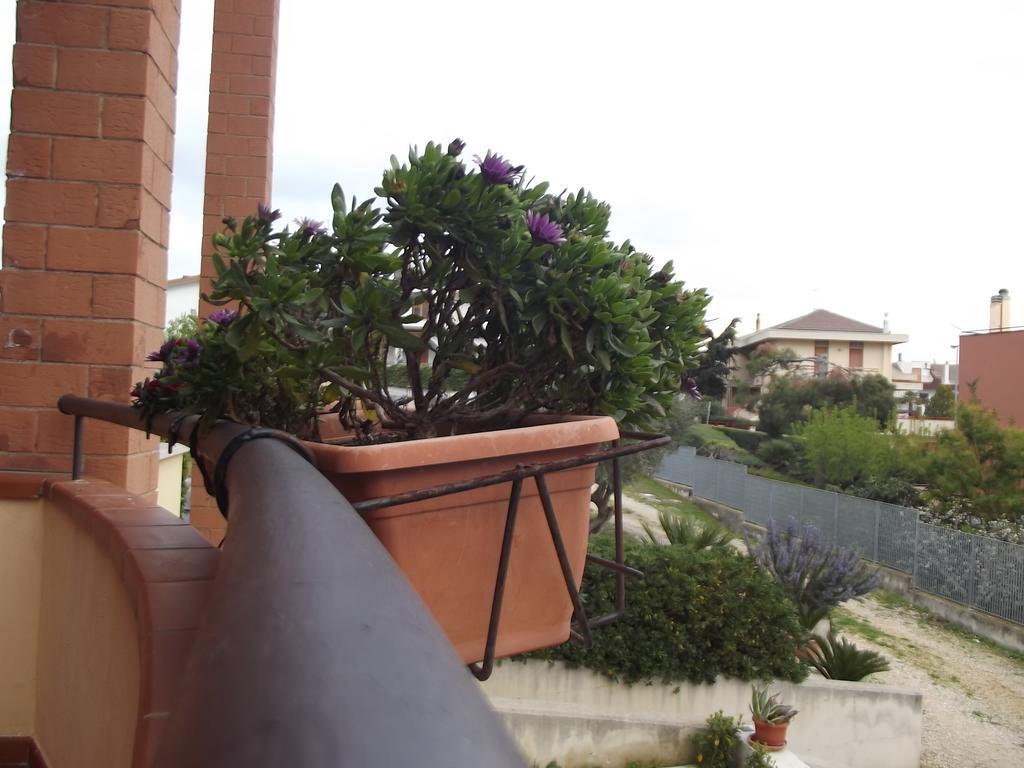 La Specchia Bed & Breakfast Matera Exterior foto